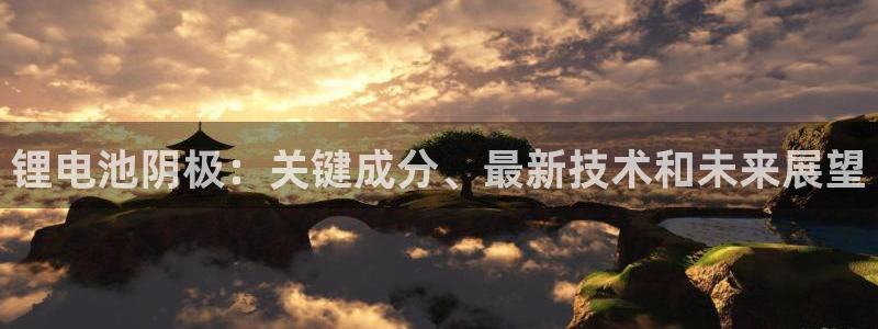 尊龙凯时人生就是搏官方网站：锂电池阴极：关键成分、最新技术和未来展望