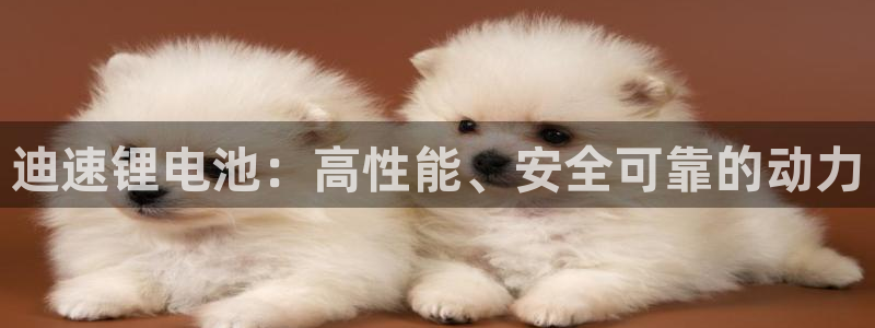 尊龙凯时官网平台：迪速锂电池：高性能、安全可靠的动力