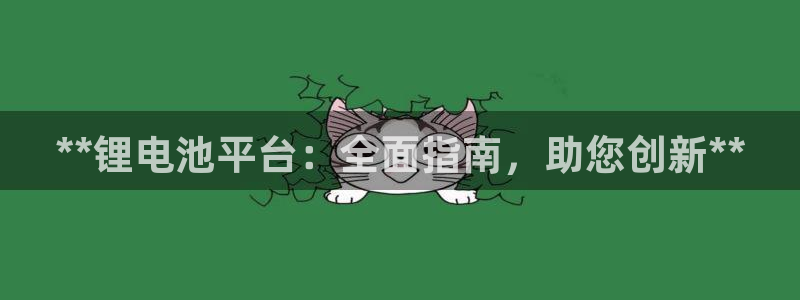 尊龙d88现金关注ag发财网：**锂电池平台：全面指南，助您创新**