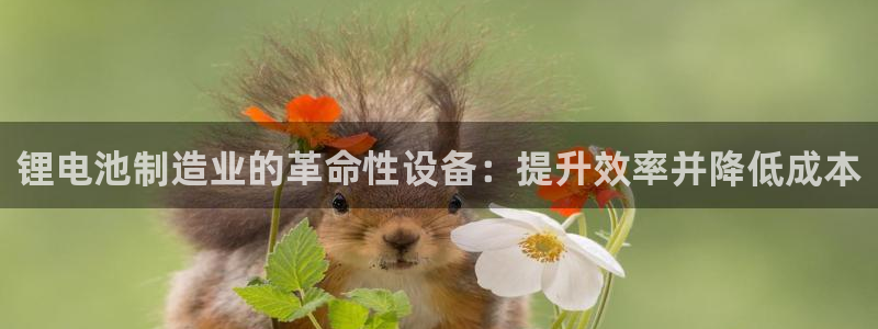 尊龙凯时d3563：锂电池制造业的革命性设备：提升效率并降低成本
