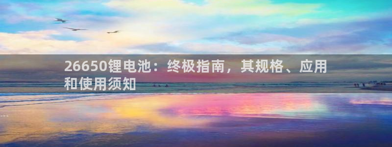 尊龙凯时百家乐手机下载：26650锂电池：终极指南，其规格、应用
和使用须知