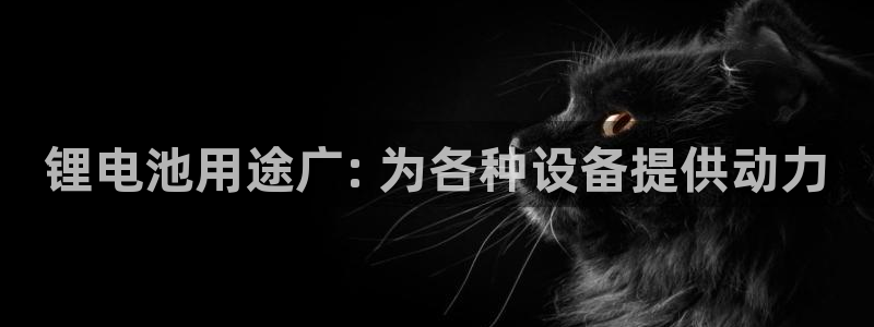 尊龙凯时存款多久到账：锂电池用途广: 为各种设备提供动力