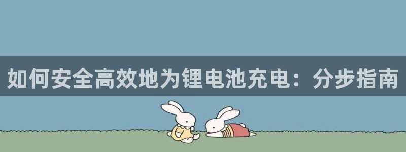 尊龙凯时提现不了：如何安全高效地为锂电池充电：分步指南