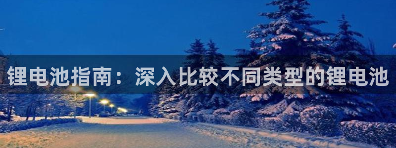 ag尊龙凯时俱乐部：锂电池指南：深入比较不同类型的锂电池
