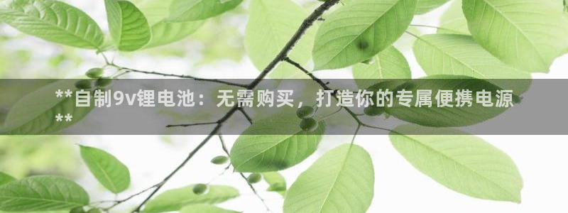 尊龙-人生就是博!：**自制9v锂电池：无需购买，打造你的专属便携电源
**