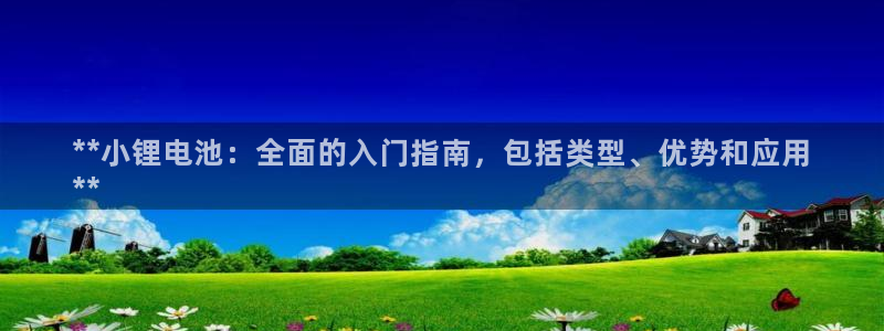 尊龙凯时官方下载：**小锂电池：全面的入门指南，包括类型、优势和应用
**