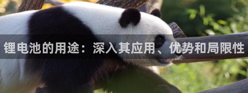 尊龙集团有限公司官网地址：锂电池的用途：深入其应用、优势和局限性