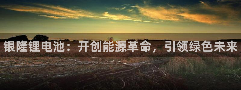 尊龙官网手机版：银隆锂电池：开创能源革命，引领绿色未来