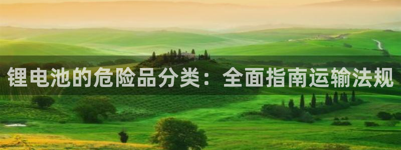 尊龙一人生就是搏：锂电池的危险品分类：全面指南运输法规