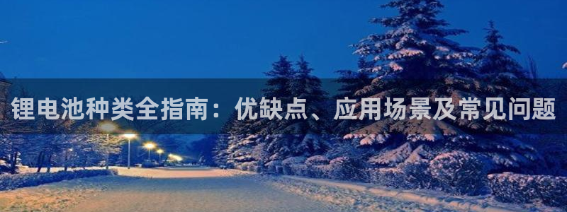 尊龙体育正规么：锂电池种类全指南：优缺点、应用场景及常见问题
