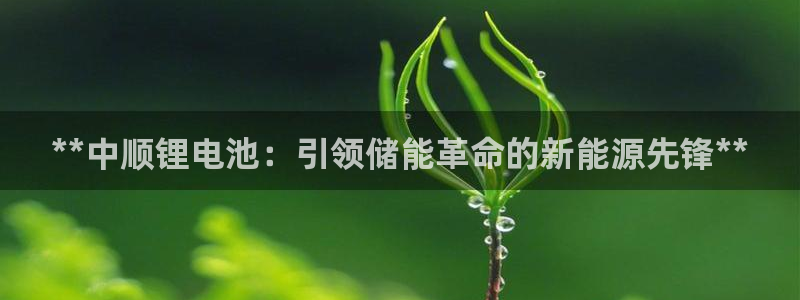 尊龙新版登录网址下载：**中顺锂电池：引领储能革命的新能源先锋**