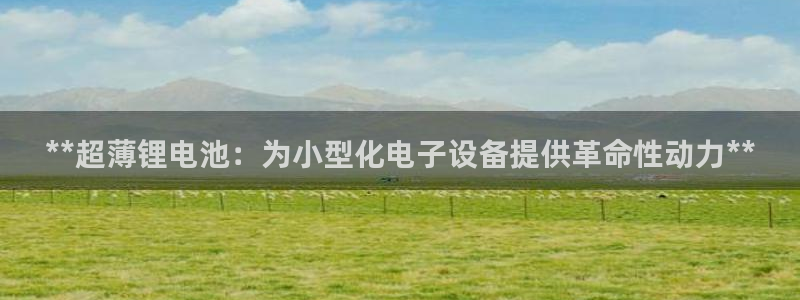 尊龙凯时老板是谁：**超薄锂电池：为小型化电子设备提供革命性动力**