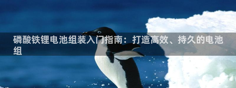 尊龙凯时人生就博：磷酸铁锂电池组装入门指南：打造高效、持久的电池
组