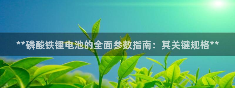 尊龙目前照片：**磷酸铁锂电池的全面参数指南：其关键规格**