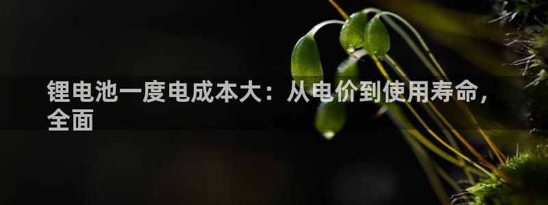 尊龙凯时家居是品牌吗