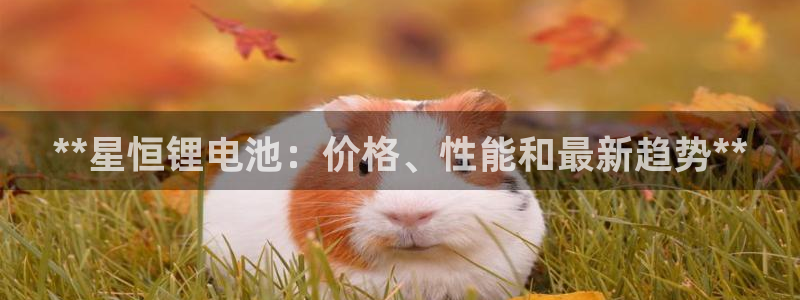 尊龙APP客户端平台：**星恒锂电池：价格、性能和最新趋势**