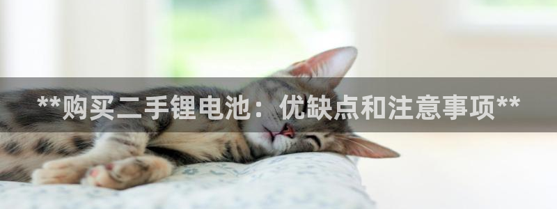 尊龙凯时是哪个国家的