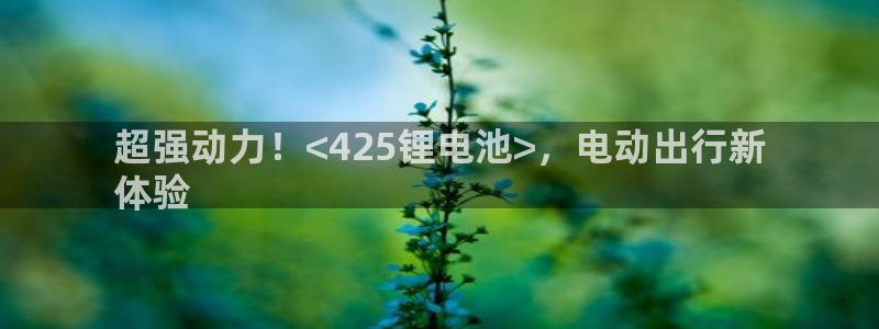尊龙人生就是博登陆：超强动力！<425锂