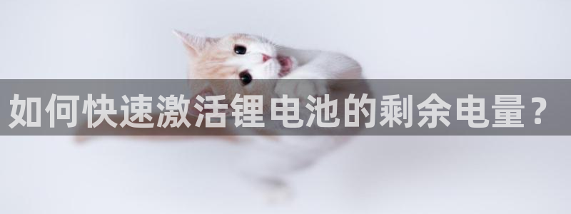尊龙凯时人生就博