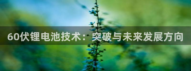 尊龙凯时人生就是博·(中国)
