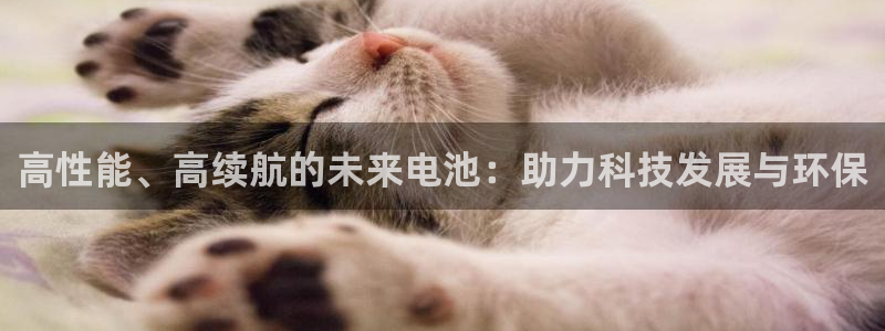 尊龙休闲e站怎么样