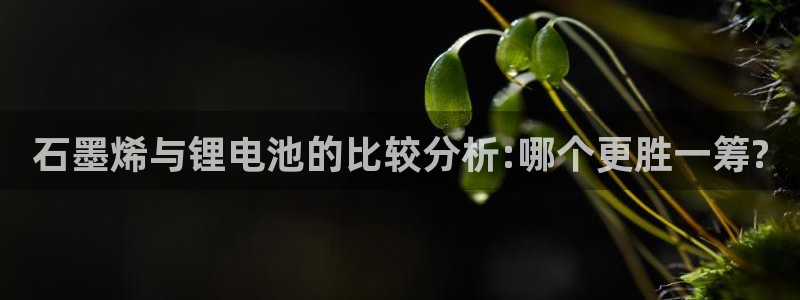 国际凯时ag优质运营商