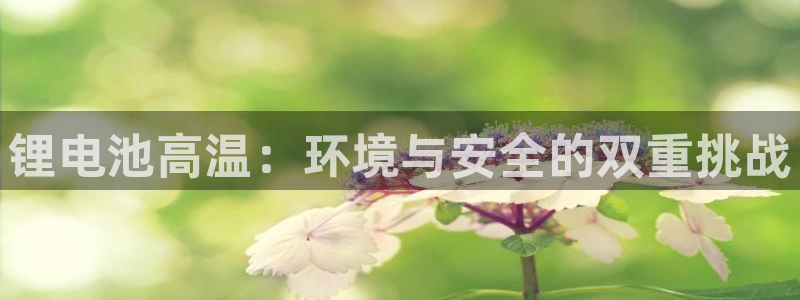尊龙旗舰店