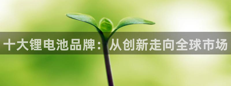 尊龙用现金一下可靠送38元