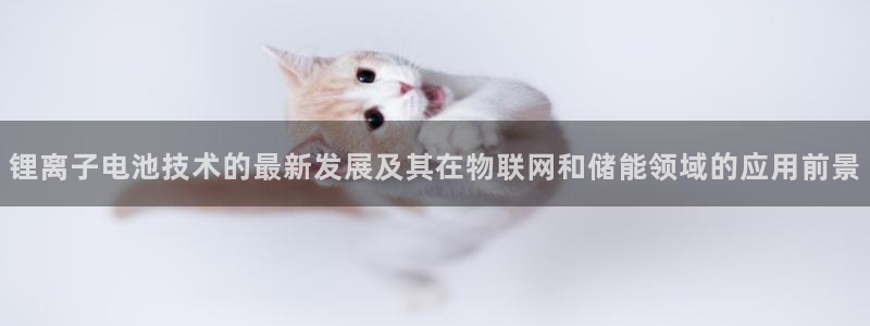 尊龙凯时ag旗舰厅官网客服
