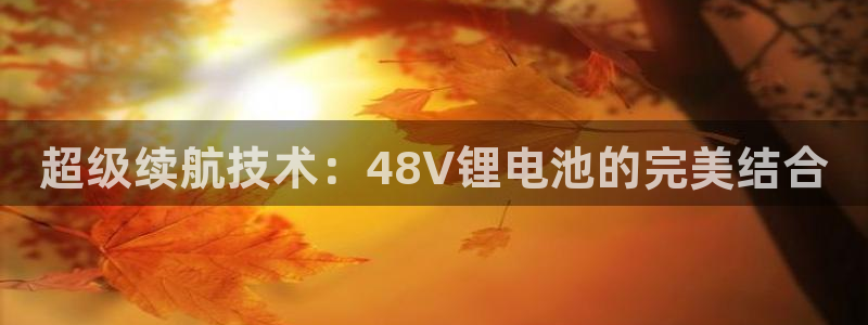 凯时平台怎么样