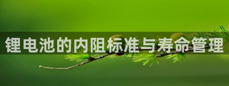 尊龙凯时人生就是搏客户