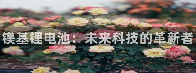 尊龙Ag