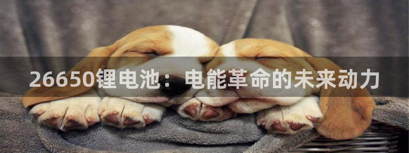 尊龙人生就是傅官网