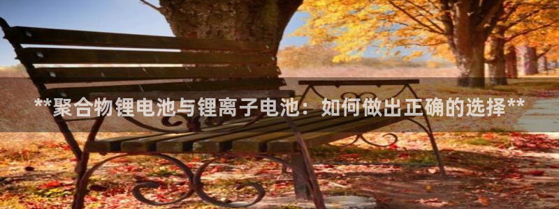 尊龙凯时官网网页版：**聚合物锂电池与锂离子电池：如何做出正确的选择**
