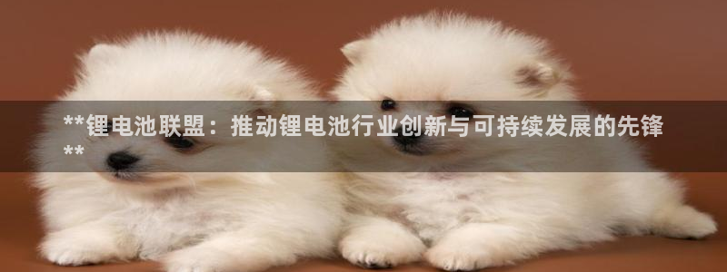 尊龙凯时始人生就是博：**锂电池联盟：推动锂电池行业创新与可持续发展的先锋
**