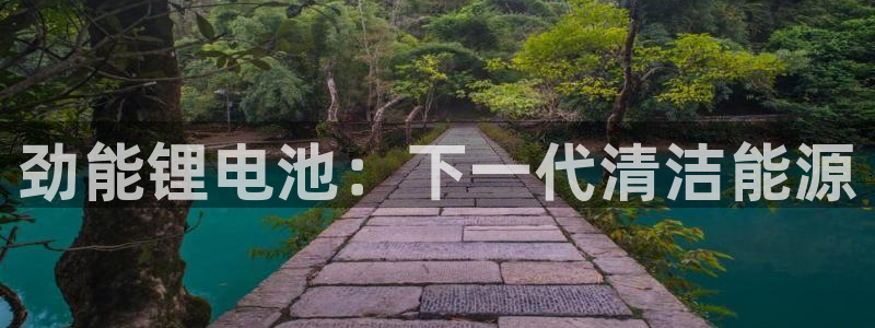 首页尊龙d88国际：劲能锂电池：下一代清洁能源