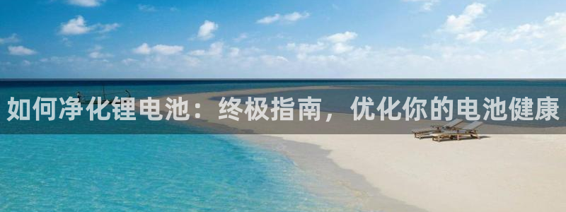 尊龙z6集团：如何净化锂电池：终极指南，优化你的电池健康