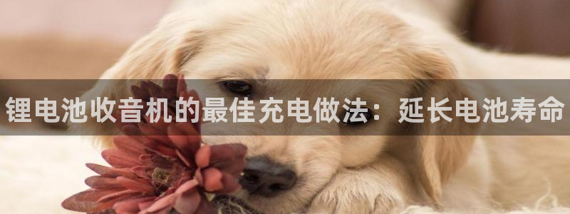凯时官网app下载官方网站：锂电池收音机的最佳充电做法：延长电池寿命