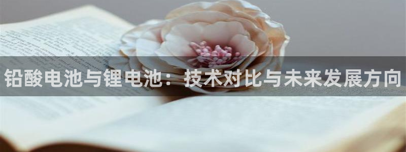 尊龙新版app首页