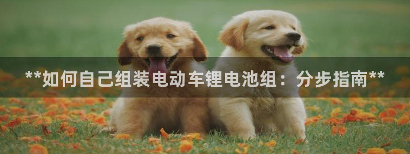 尊龙凯时一人生就是博官网：**如何自己组装电动车锂电池组：分步指南**