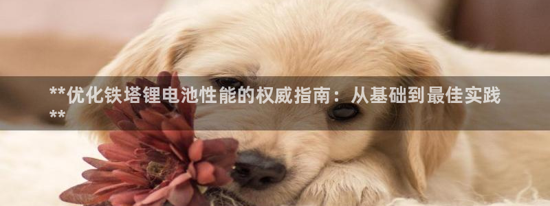 凯时k66娱乐登录：**优化铁塔锂电池性能的权威指南：从基础到最佳实践
**