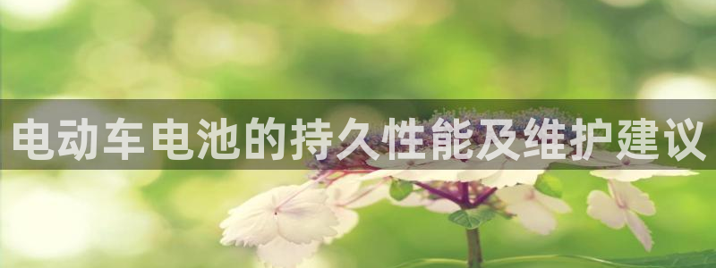 尊龙d88现金可来就送38