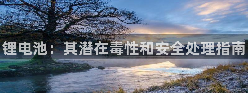 尊龙长相评价：锂电池：其潜在毒性和安全处