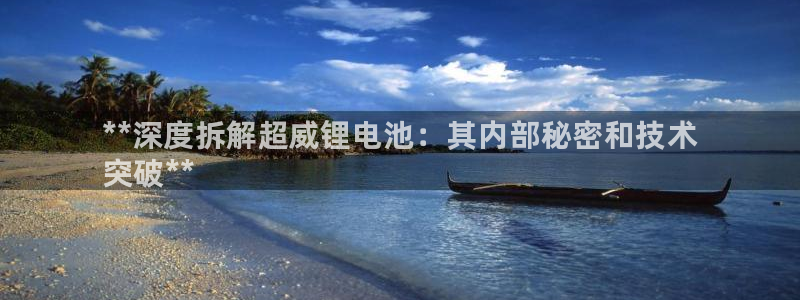 ZL尊龙凯时集团：**深度拆解超威锂电池