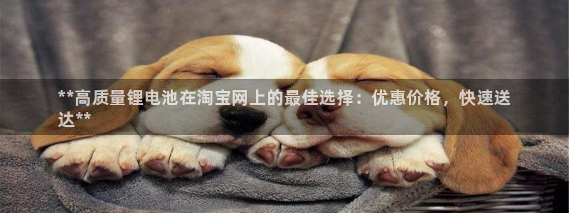 尊龙凯时 - 人生就是搏!：**高质量锂电池在淘宝网上的最佳选择：优惠价格，快速送
达**