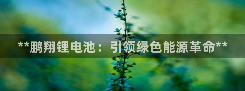 尊龙凯时输了100万：**鹏翔锂电池：引领绿色能源革命**