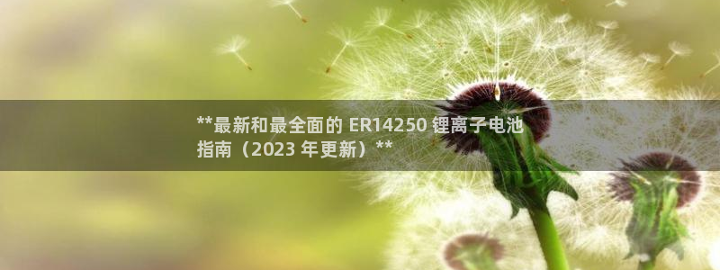 z6尊龙凯时集团：**最新和最全面的 ER14250 锂离子电池
指南（2023 年更新）**