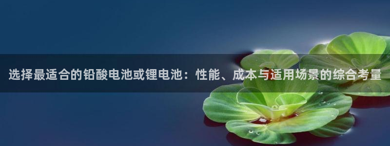 尊龙凯时几百万怎么下