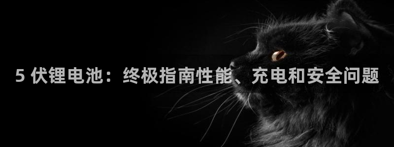 尊龙官网/首选kpm：5 伏锂电池：终极