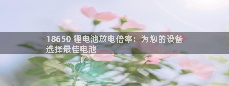 尊龙凯时登陆网址：18650 锂电池放电倍率：为您的设备
选择最佳电池